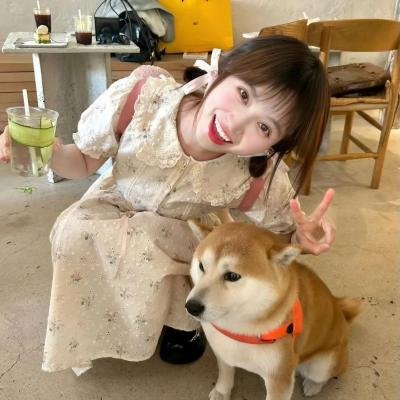 湾畔倾情第五季